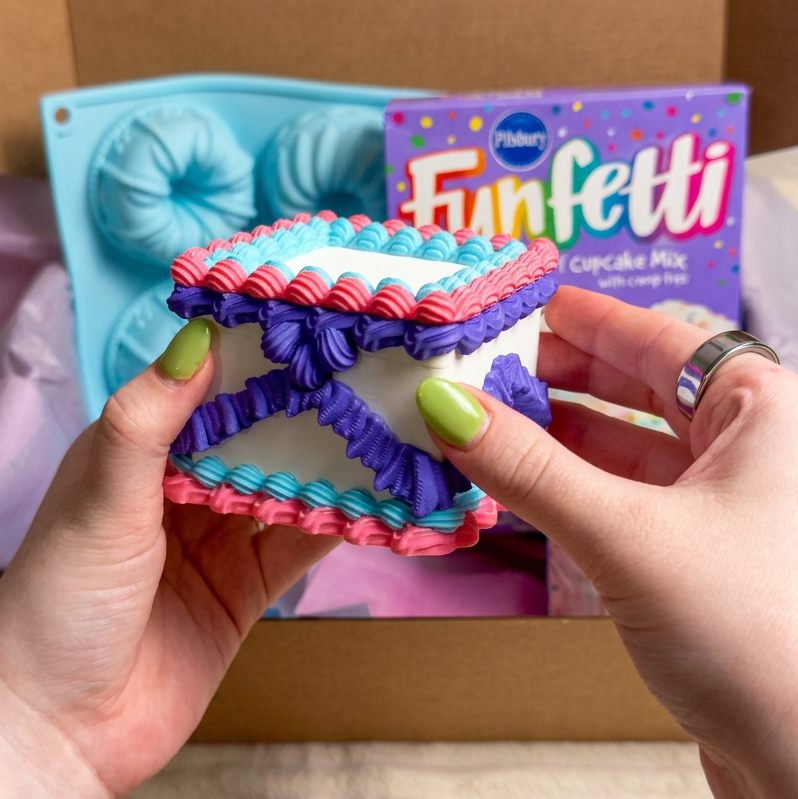 Cake Storage Box Organizer | Mini & Regular | Cozy Collection